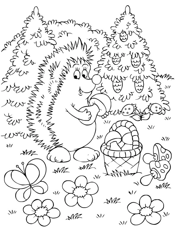 Coloring book hedgehog collecting mushrooms
